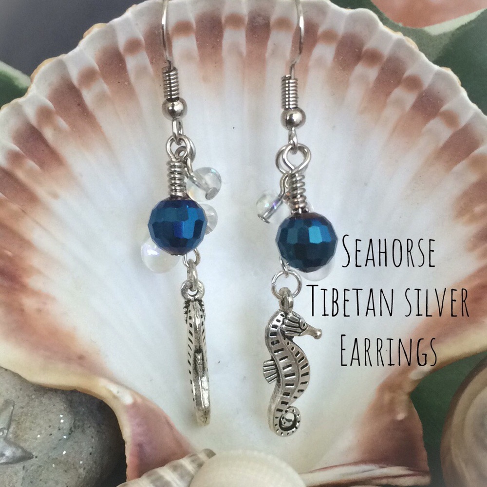 💦NEW Seahorse Tibetan silver Earrings